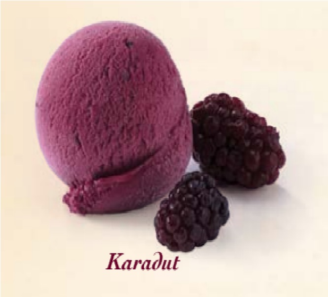 Karadut
